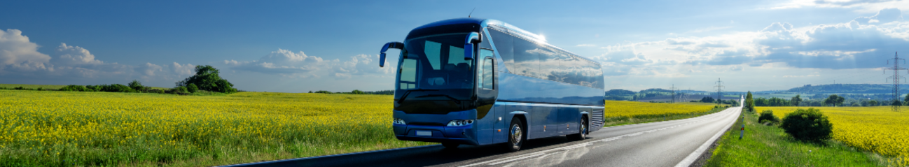 travel-bus-reactive-image-from-app